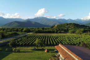 Chubini Winery & Cabins